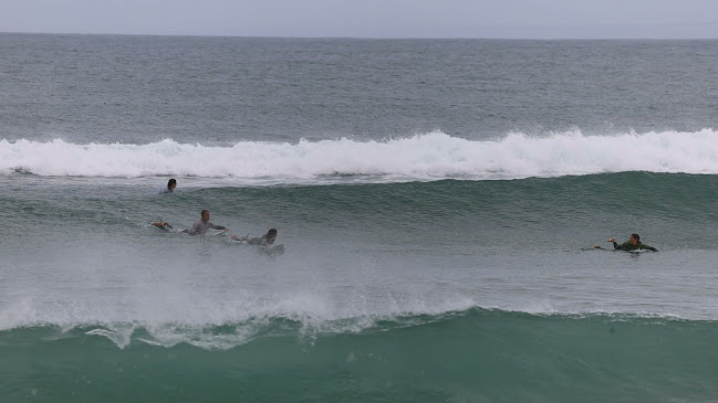 Avaliações doGood Surf Good Love em Peniche - Escola