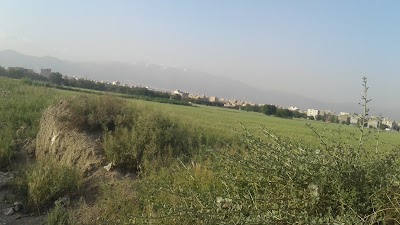 Photos of Valiasr Commercial Complex