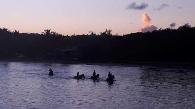 Photos of Aquaholics Kitesurfing School