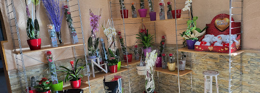 Fenthos Flor - Visual
