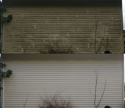Simple Clean - Visual