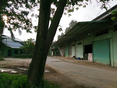 Photos of masjid as-shiddiq