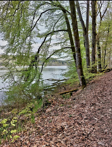 Mindelsee Runde zum Wild- und Freizeitpark Allensbach und zurück - Impressionen - Thumbnail