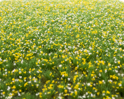 RTS GmbH & Co. KG | Modelllandschaftsbau | Begrasungsgeräte | Greenkeeper - Thumbnail