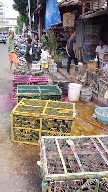 Warung Anak Ayam Warna-warni, Pasar Gembrong Jaktim, Author: Andrian Sani