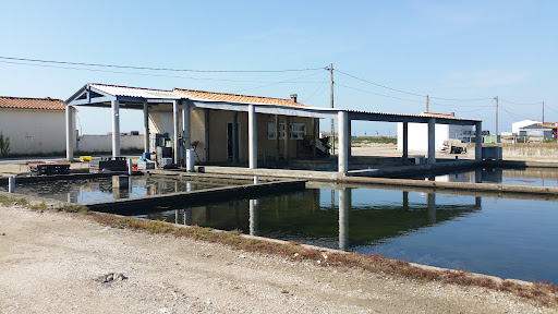 Photo de L'Ambiance Cabane à Yves (17340)