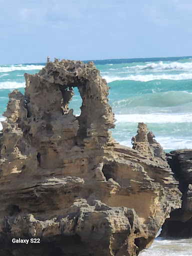 Beachport Conservation Park Gallery - Australia