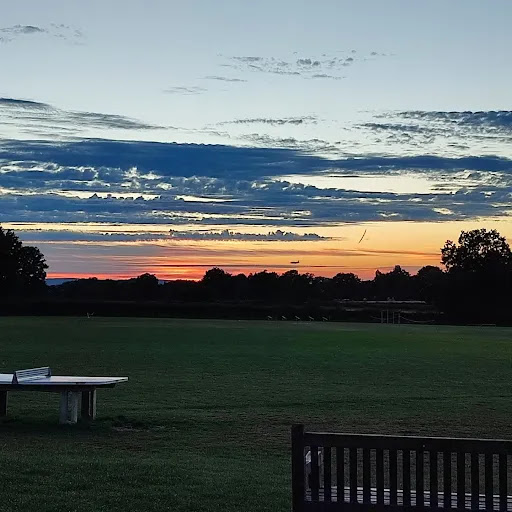 Phoenix PT - Visual