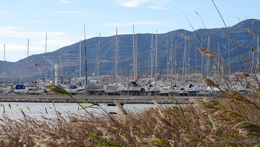 Aparcador de vaixells del Delta de l'Ebre - Thumbnail