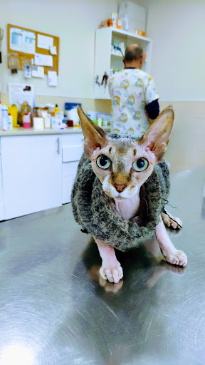 Clínica Veterinaria Pavones