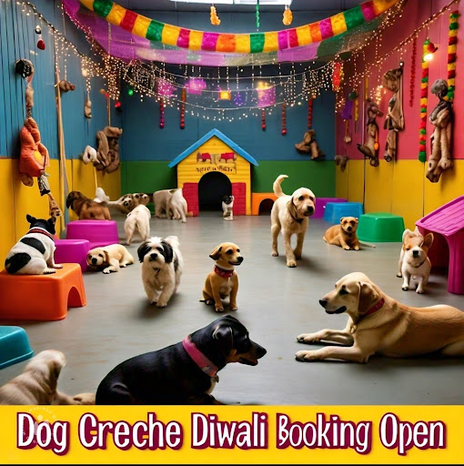 Book your slot for Diwali🐶Vicky Dona Dog Creche