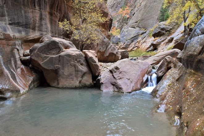 Orderville Canyon, Zion National Park, United States