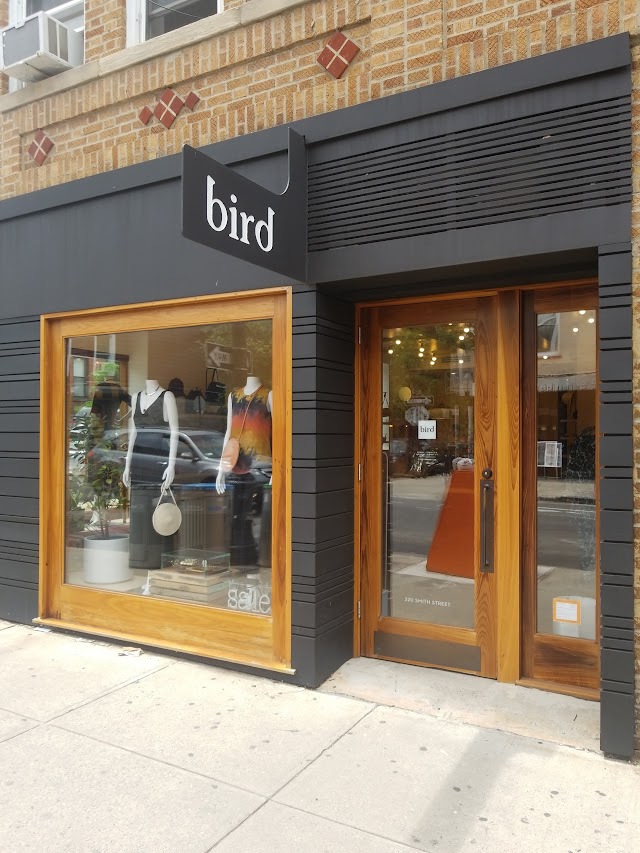 Bird