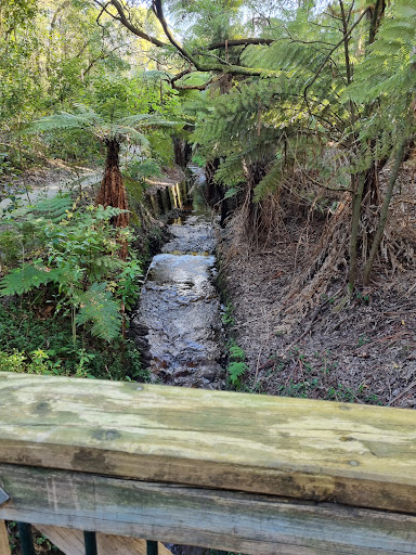 Te Anau Park - Thumbnail