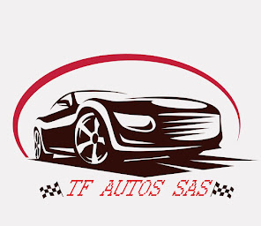 Photo n°5 de TF AUTOS à Saint-Fons (Garage automobile)