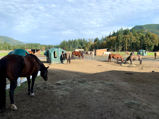 Black Mountain Ranch - Thumbnail