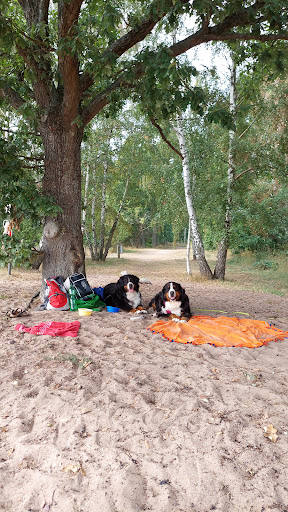Svinö Hundbad - Thumbnail