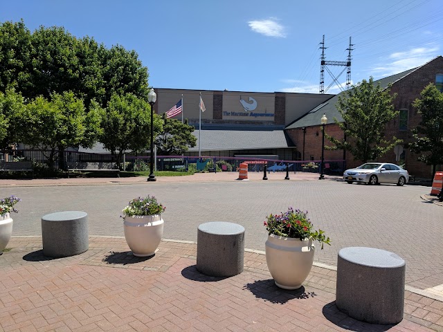 The Maritime Aquarium at Norwalk