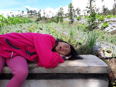 Photos of Pos 1 Shelter Gardu Pandang, Jalur Pendakian Gunung Slamet via Bambangan