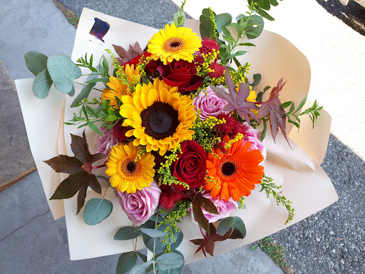 I Fiori Di Anna - Thumbnail