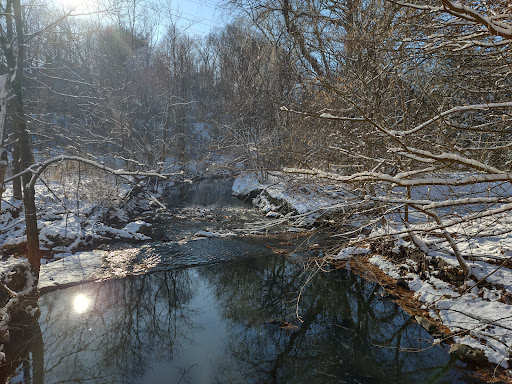 Taylor Creek Dog Park - Thumbnail