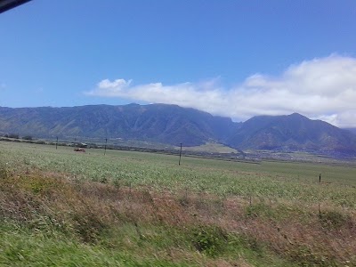 Maui High School Band