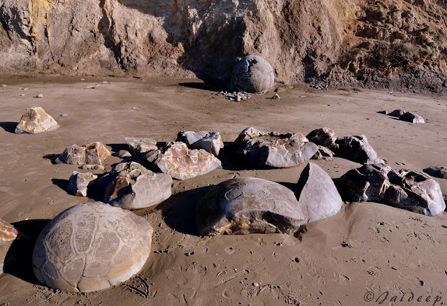 Moeraki Boulders Beach