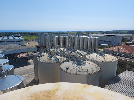 Societa' Cooperativa Agricola Coltivatori Diretti - Tollo