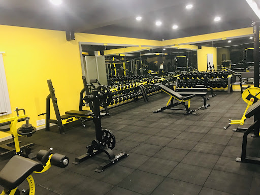Gallery image 15