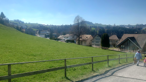Schule Trogen - Visual