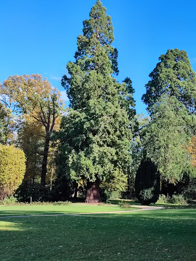 Schloßpark Gracht - Thumbnail
