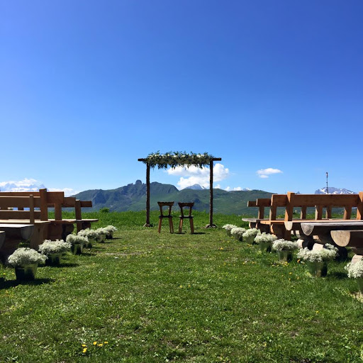 Helianthus Fleuriste Suisse - Thumbnail