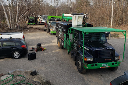 greenleaf tree service moultonborough nh