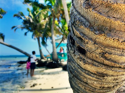 Photos of Silk Caye National Park