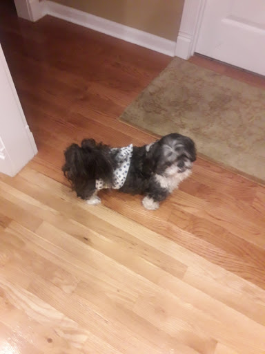 Paws and Whiskers Boutique and Spa - Thumbnail
