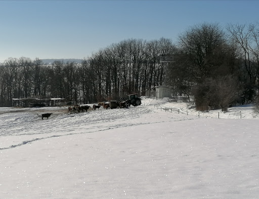 Antennenanlage Oberrothenbach - Thumbnail