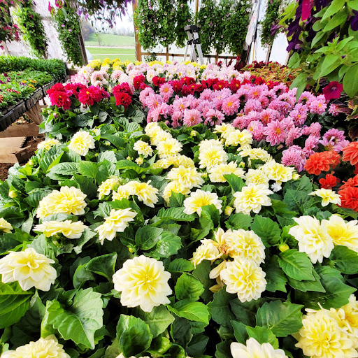 Bower's Produce - Thumbnail