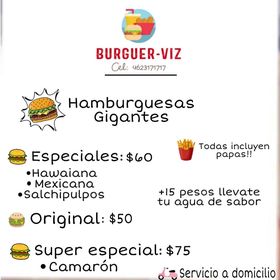 Burguer viz