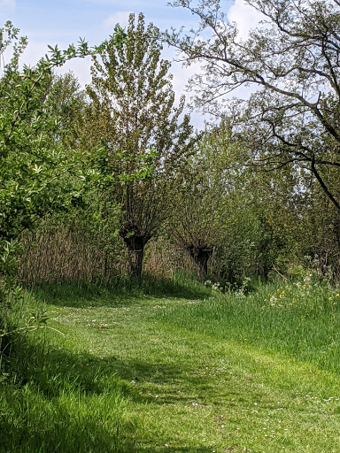 Bosdijk - Visual