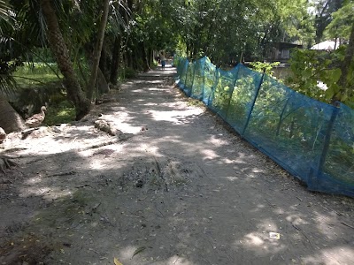 Photos of Sunni Bhuyan Bari