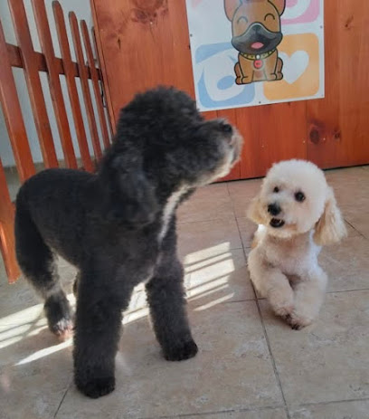 Peluquería canina Huelva wauu