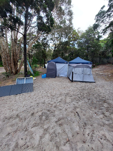 Minjerribah Camping - Flinders Area D Logo
