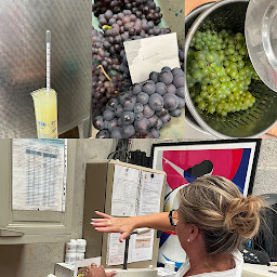 Photo n°20 de Champagne Oudart-Ortillon à Bassuet (Établissement vinicole)