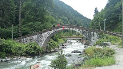 Fırtına Creek