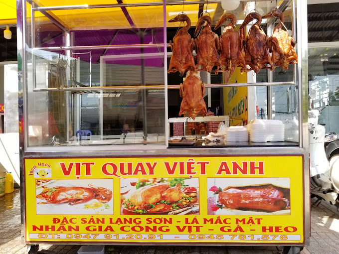 Vịt