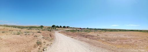 Spur Ranch - Visual