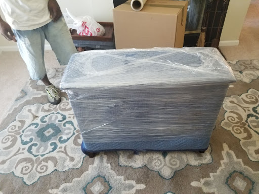 Daytime Movers - Visual