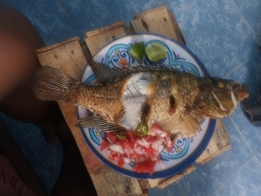 Tacos de guisados erika