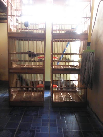 Photos of Vian Bird Shop ( Kacer )