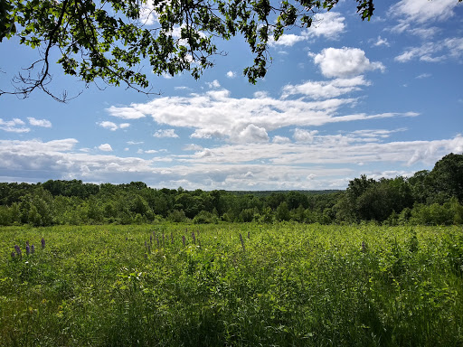 Steere Hill Glocester Land Trust Trailhead Logo